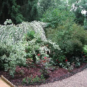 4* Bed & Breakfast Le Pas De L'ane D'hotes